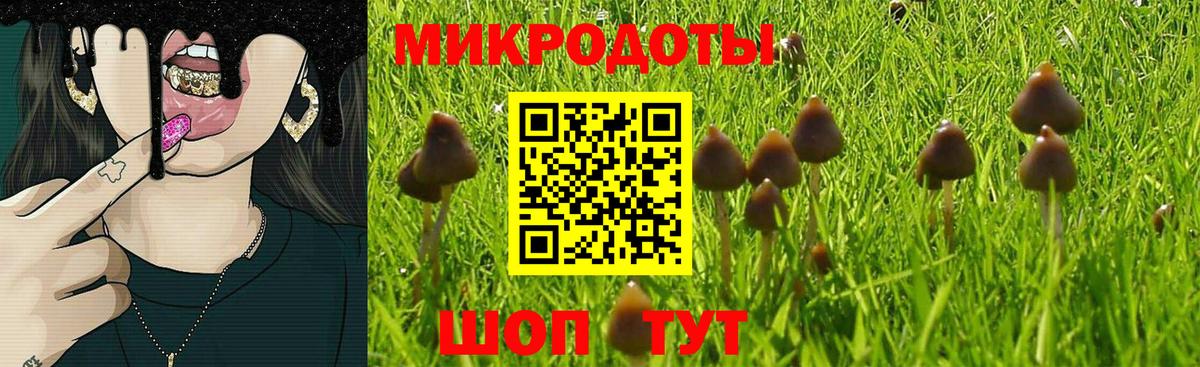 Ахтубинск  Псилоцибиновые грибы Psilocybe  продажа наркотиков  Вход с VPN 