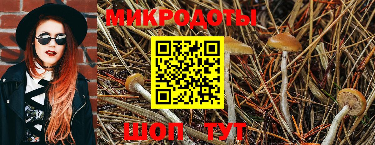 Галлюциногенные грибы MAGIC MUSHROOMS Ахтубинск