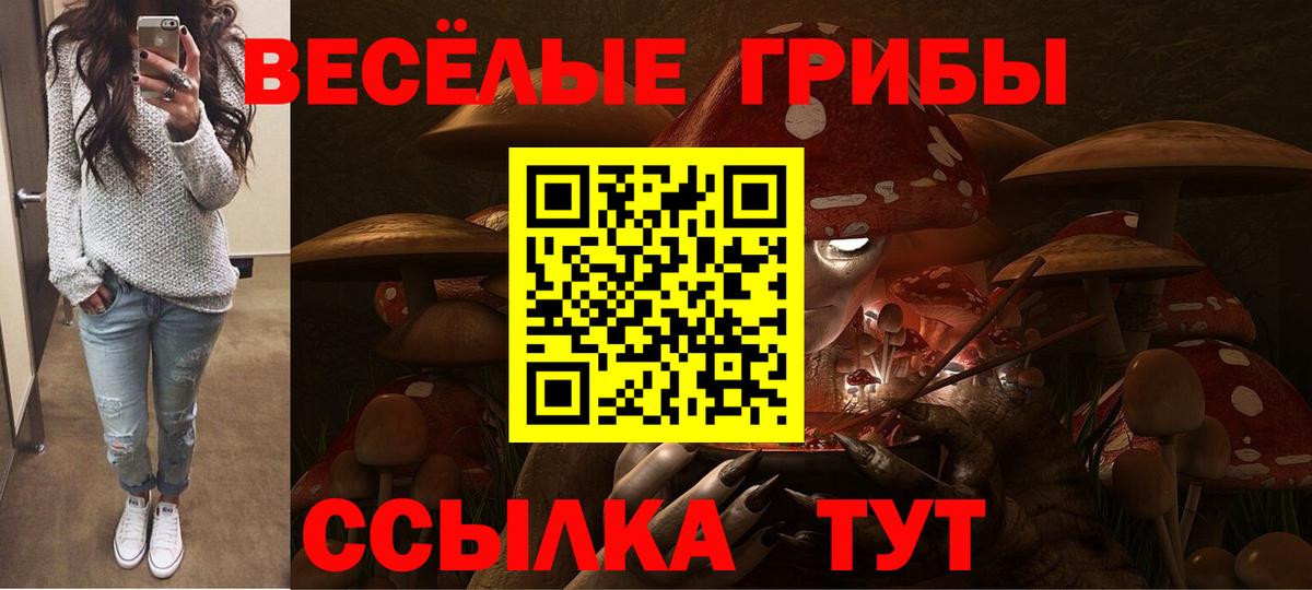 Псилоцибиновые грибы прущие грибы  Галлюциногенные грибы MAGIC MUSHROOMS  Ахтубинск 